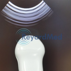 New Esaote  Microconvex   CA123 Ultrasound Probe