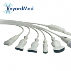 Esaote L 8-24 Linear Transducer Ultrasound Probe Repair Service